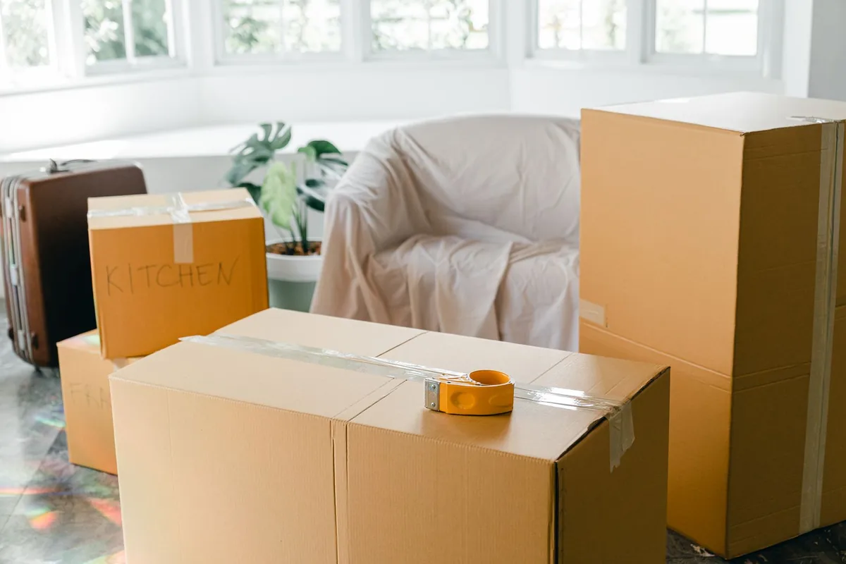 Hoarding Cleanup in Rainier View, Seattle, WA